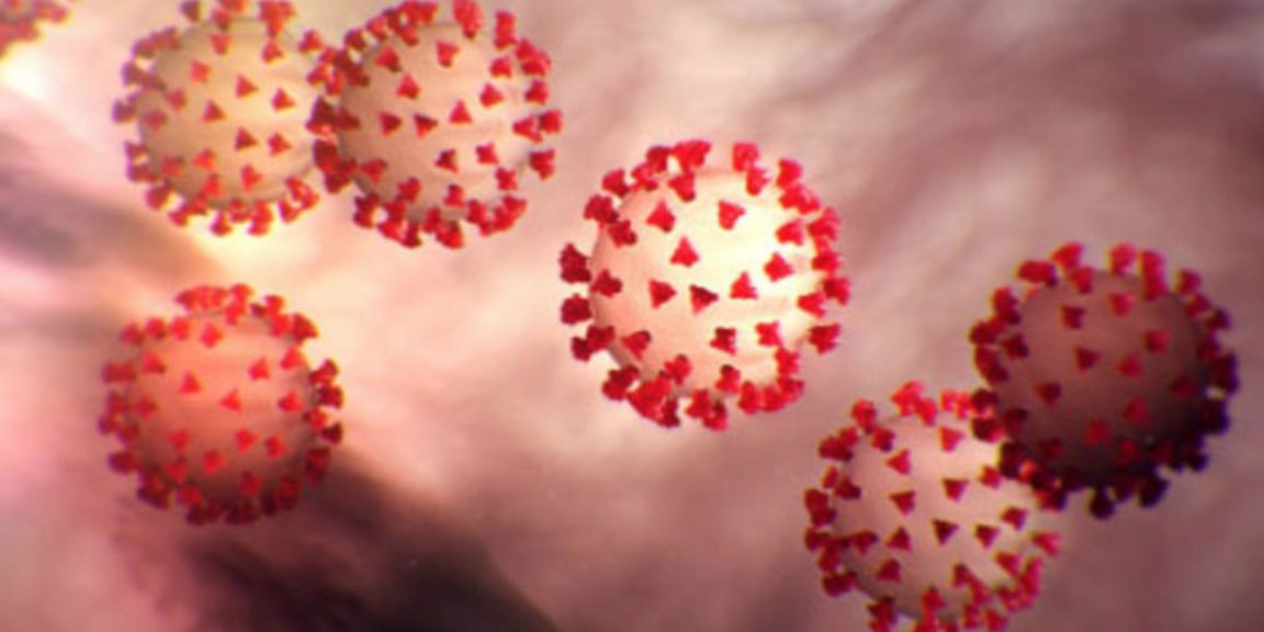 coronavirus 2